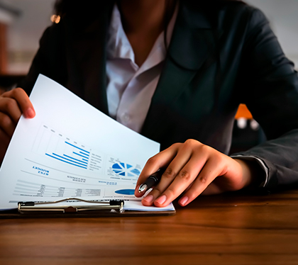 Contabilidad y Auditoría