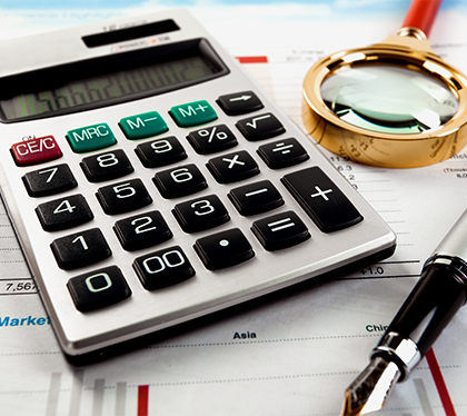 Revisor Fiscal Contador Público